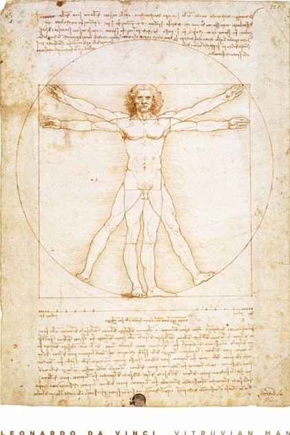 Plakát Leondardo da Vinci - vitruvian man