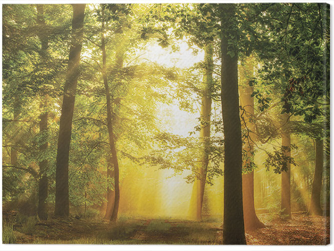 Obraz na plátně Lars Van De Goor - Hidden In Plain SIght
