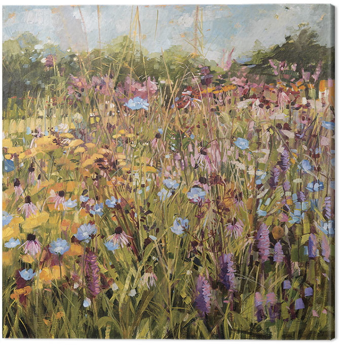 Canvas Print Anne-Marie Butlin - Summer Field with Scabious