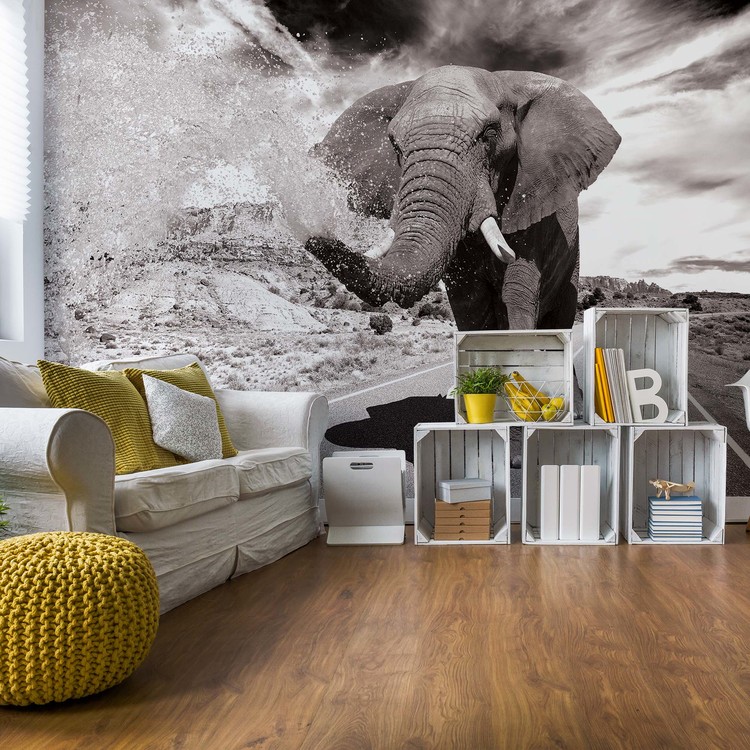 Fototapeta Elephant Highway Black And White