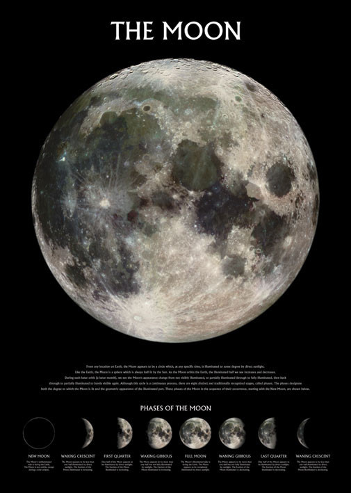 Plakát, Obraz - měsíc, 61x91.5 cm