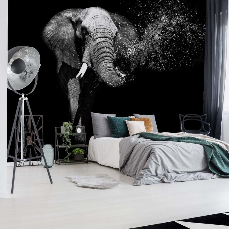 Fototapeta Black And White Elephant
