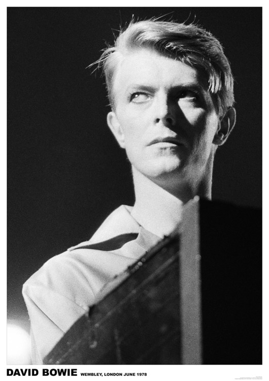 Plakát, Obraz - David Bowie - Wembley 1978, (59.4 x 84.1 cm)