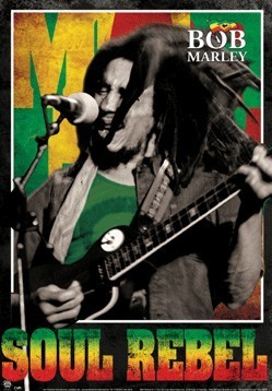 Bob Marley - Soul rebel 3D 3D Poster, 3D Print | UKposters