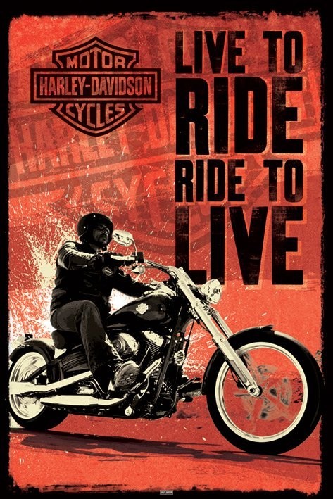 Plakát Harley Davidson - live to ride