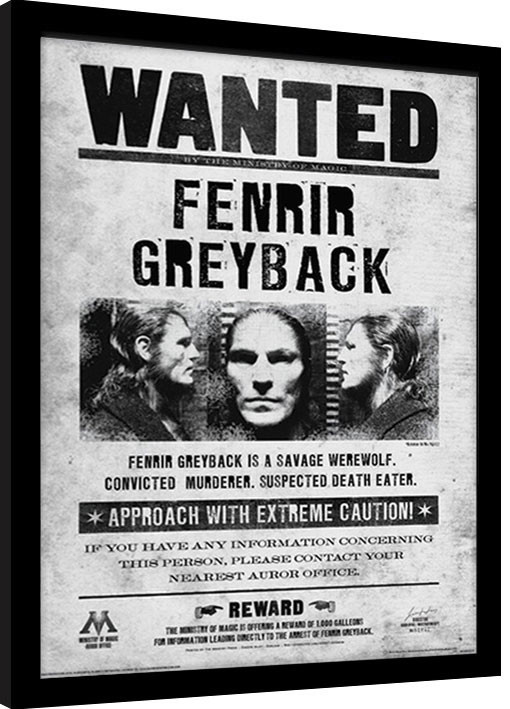 Ingelijste poster Harry Potter - Fenrir Wanted