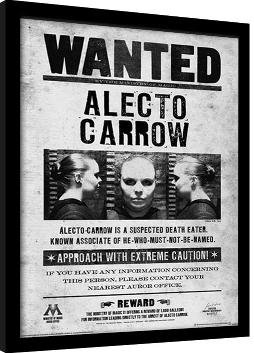 Oprawiony plakat Harry Potter - Alecto Wanted