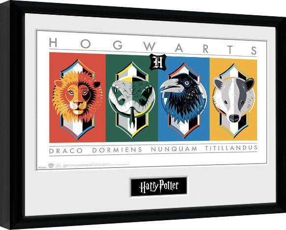 Gerahmte Poster Harry Potter - Sigils