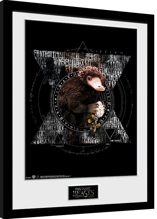 Framed Poster Fantastic Beasts - Niffler Circle