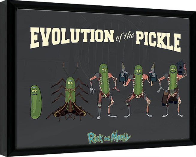 Poster incorniciato Rick & Morty - Evolution Of The Pickle