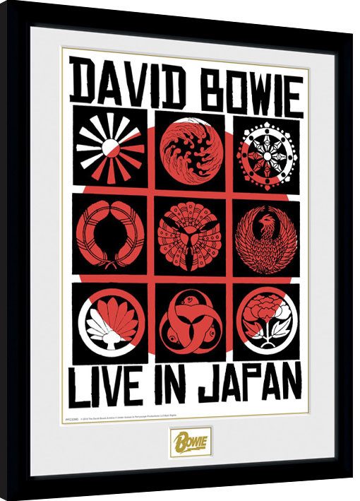 Obraz na zeď - David Bowie - Live In Japan