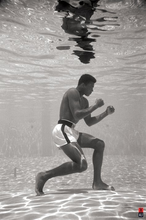 Muhammad Ali - gym Poster, Affiche | All poster chez