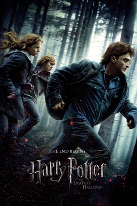 Plakat HARRY POTTER 7 - one sheet