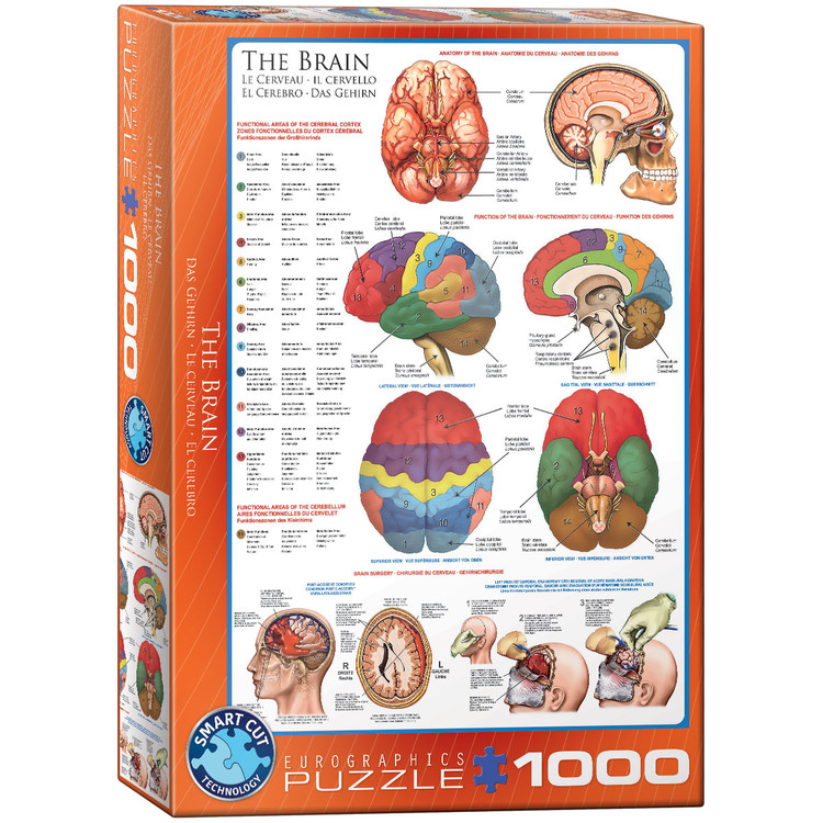 Pussel The Brain