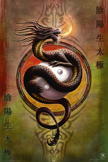 Poster Anne Stokes - yin yang protect