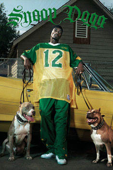Poster Snoop Dogg - green | Wall Art | 3+1 FREE | UKposters