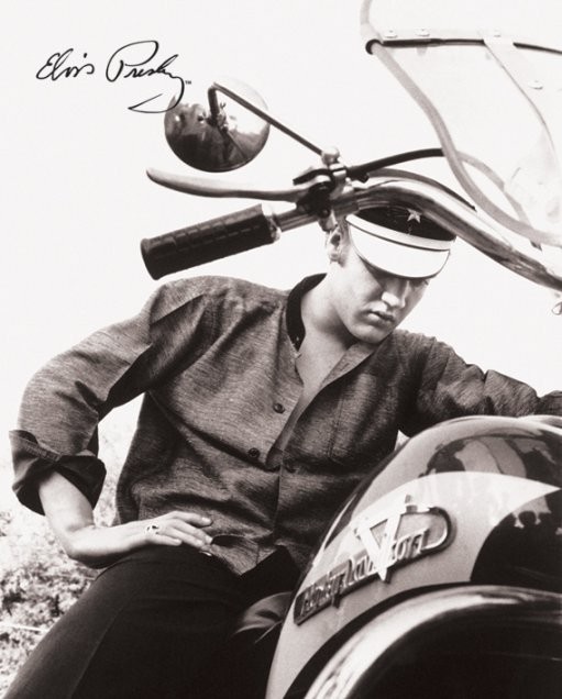Poster Elvis Presley - harley