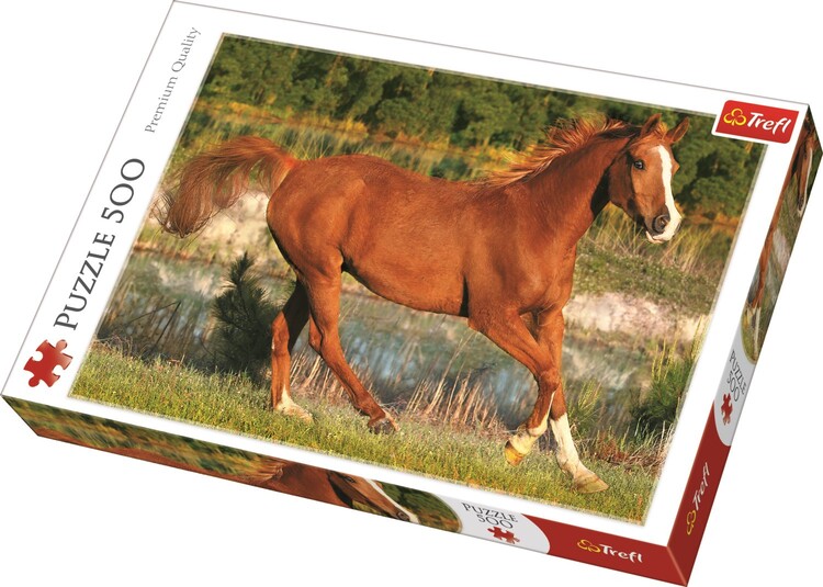 Puzzle Krása cvalu