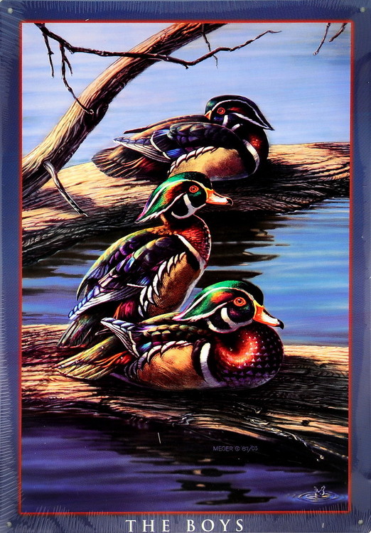 Metallschild THE BOYS - ducks