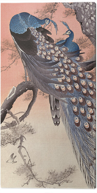 Bild auf Leinwand Ohara Koson - Two Peacocks on Tree Branch