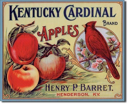 Metallschild KY CARDINAL APPLES