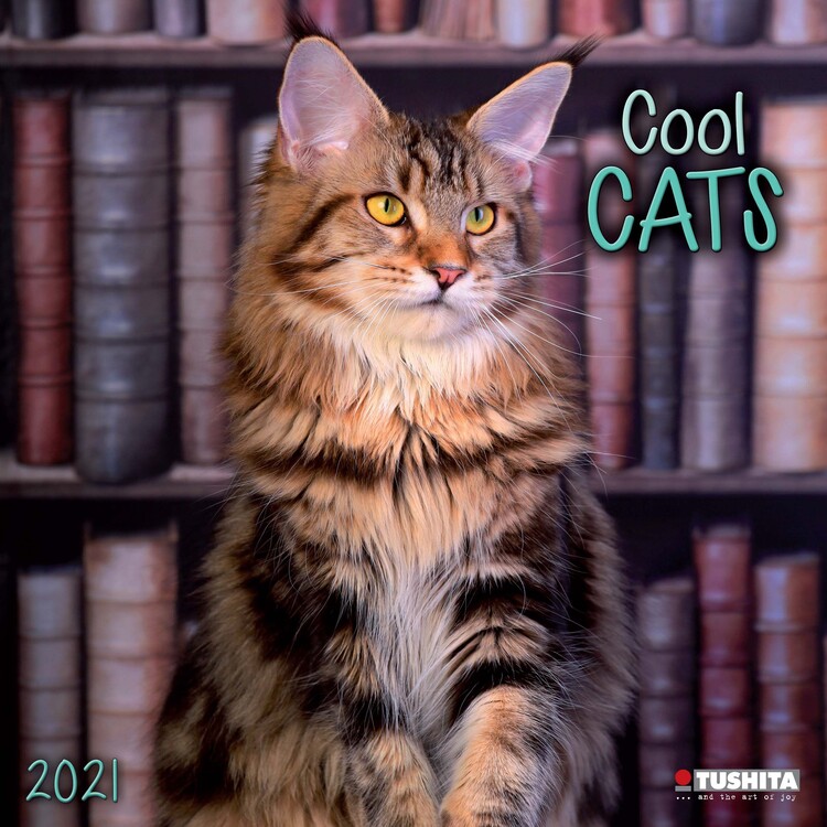 Kalender 2027 Cool Cats
