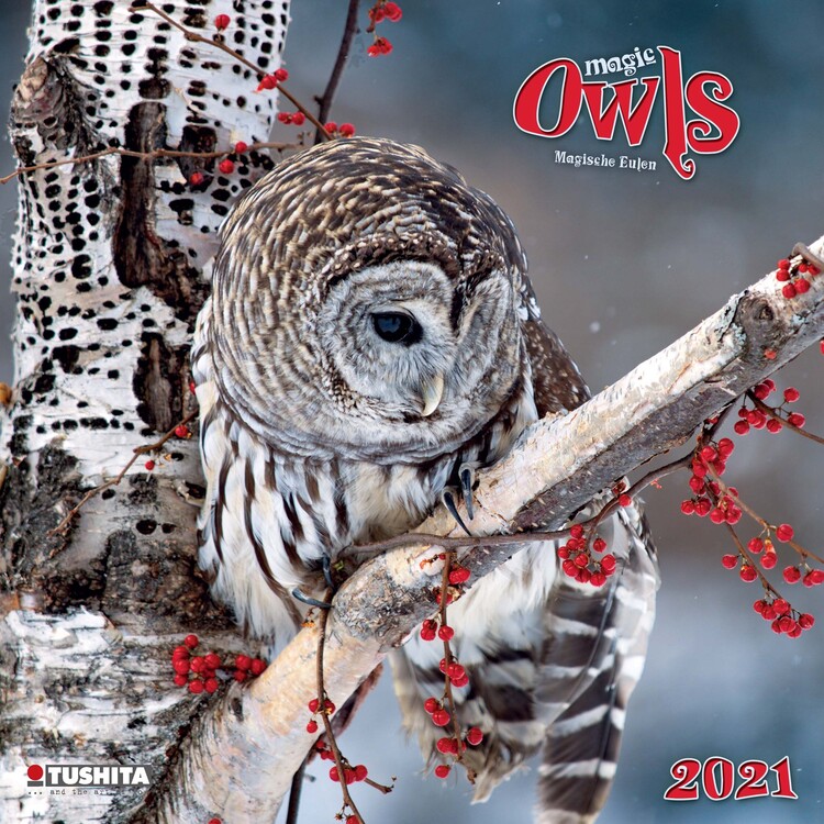 Calendrier 2027 Magic Owls