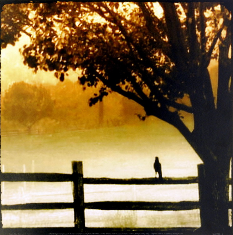 Kunstdruck Return of the Crow