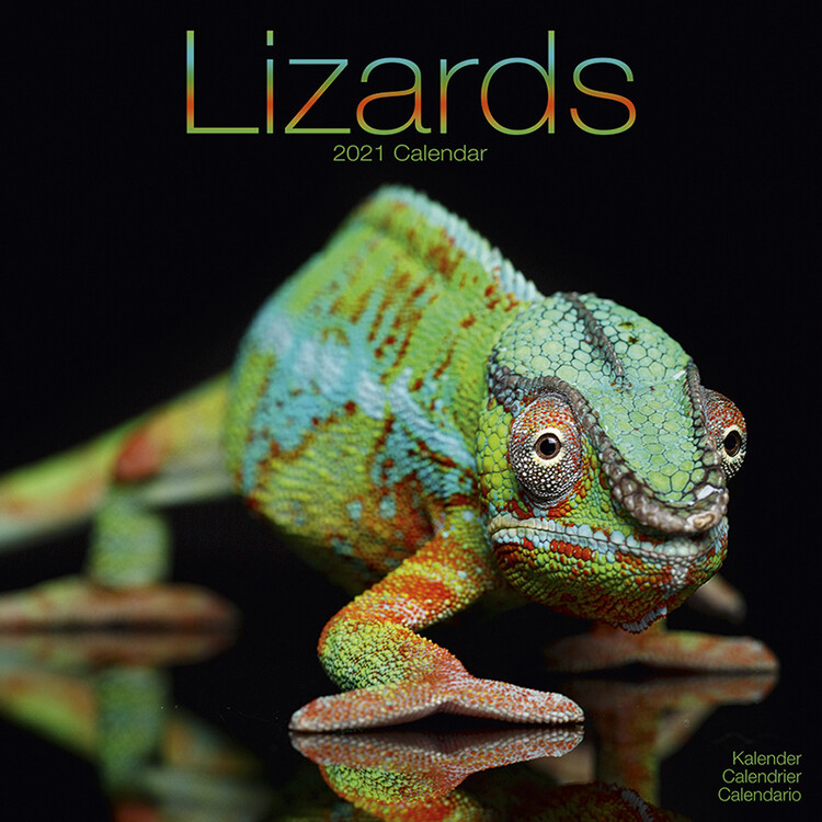 Kalender 2027 Lizards
