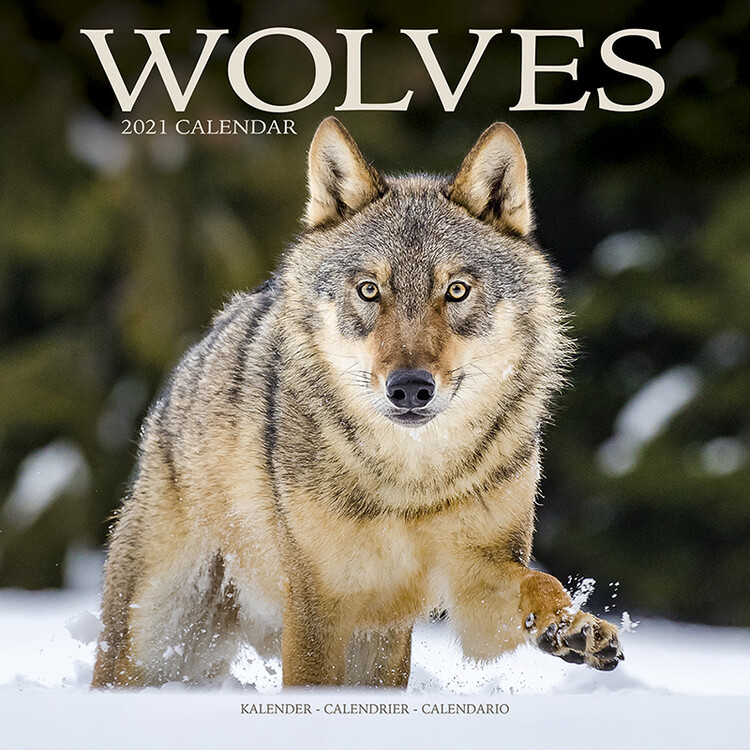 Calendario 2027 Wolves