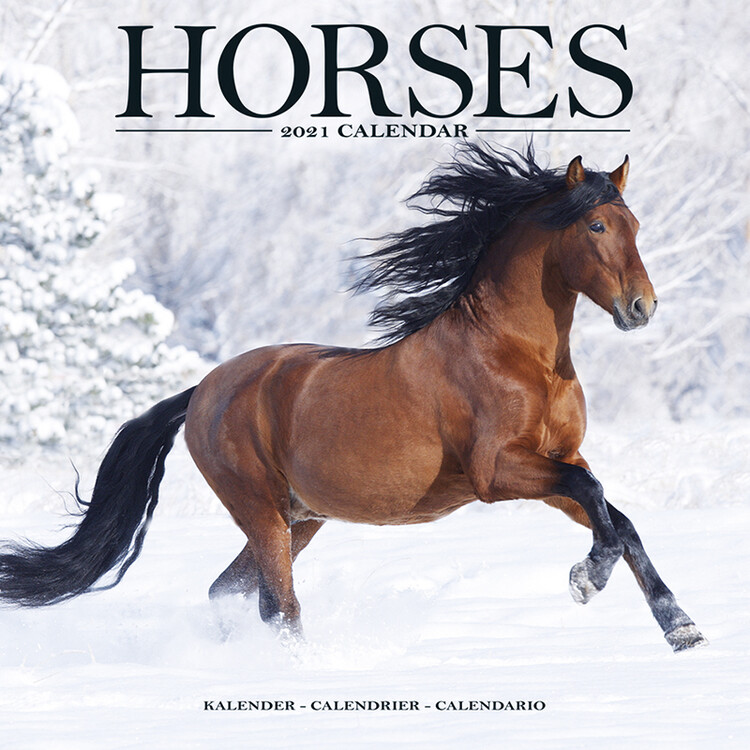 Kalendarz 2027 Horses