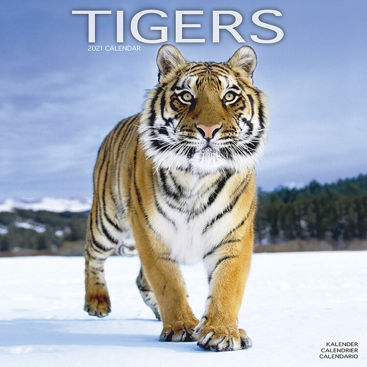 Calendario 2027 Tigers