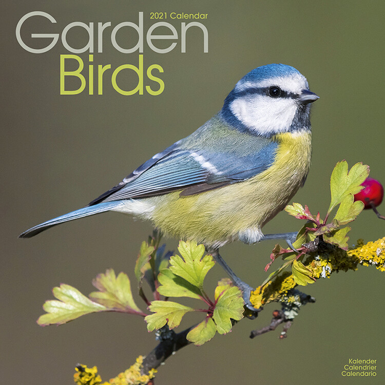 Kalender 2027 Garden Birds