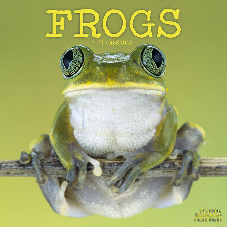 Kalender 2027 Frogs