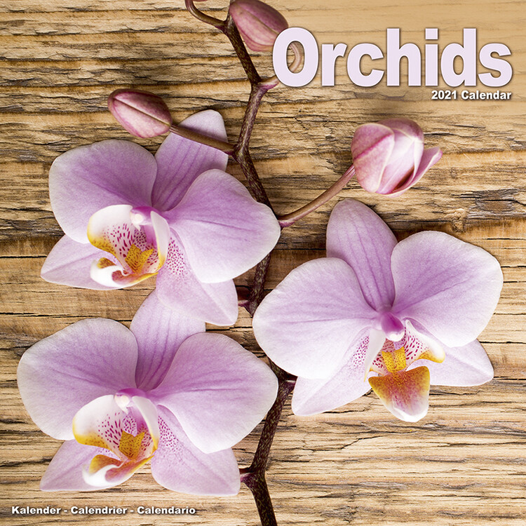 Naptár 2027 Orchids