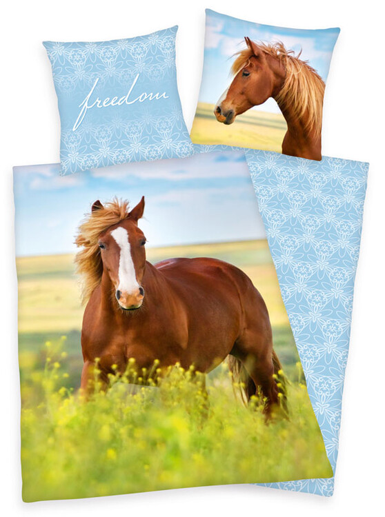 Obliečky Young Coll - Horse