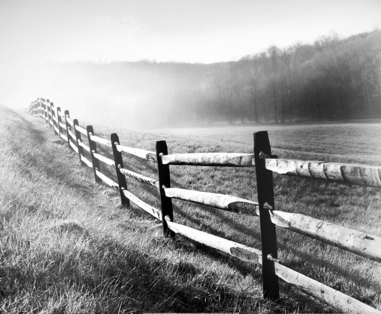 Reproduction d'art Vanishing Fence