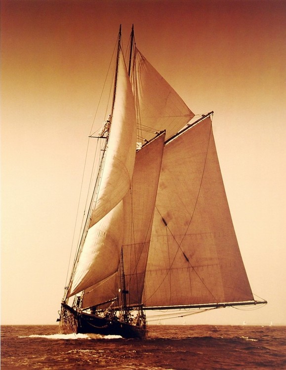 Művészeti nyomat Under Sail I