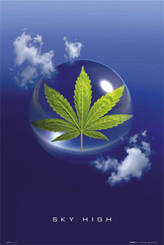 Poster Sky high