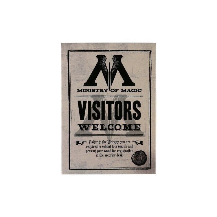Calamita Harry Potter - Ministry Of Magic