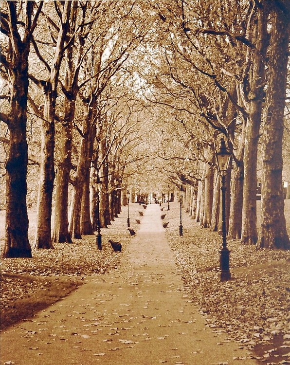 Kunstdruk Autumn Stroll II