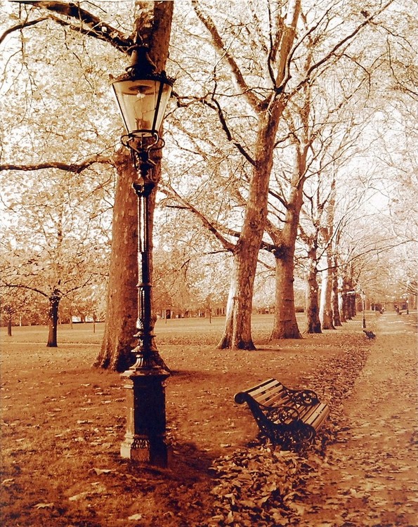 Kunstdruk Restful Autumn I