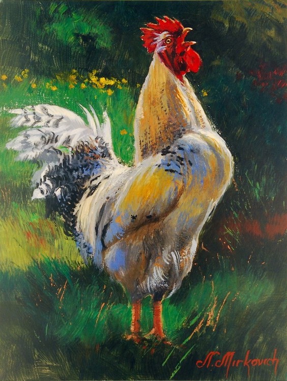Kunstdruk White and Yellow Rooster