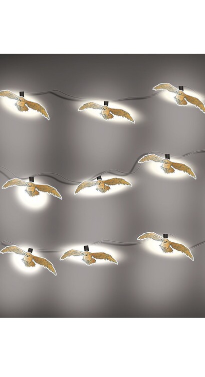 Luci decorative Harry Potter - Owl