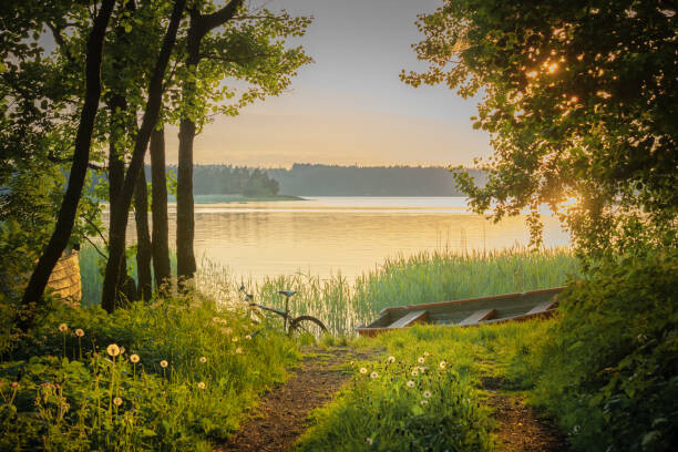 Samolepka A bike, a rowboat and dandelions