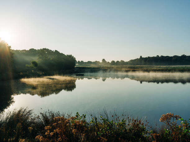 Tričko A pond in a London Park