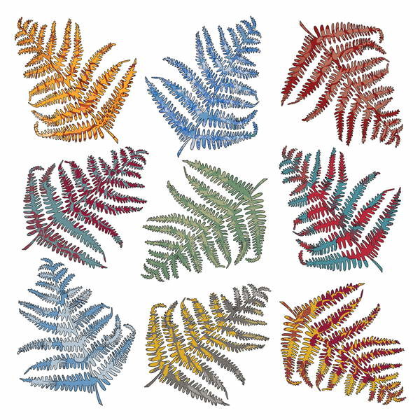 Tableau sur toile Ferns, 2012