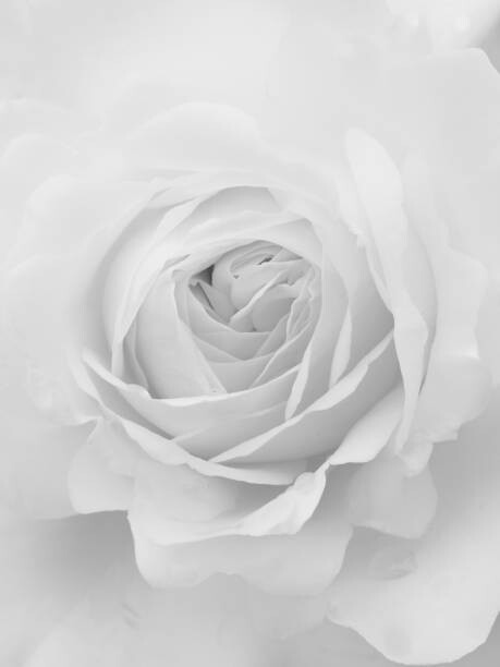 Poster full frame close up of the