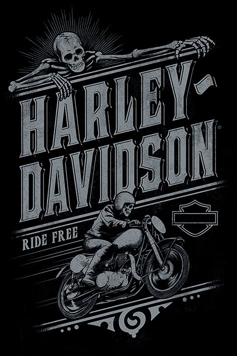 Les 7 T-shirts Harley Davidson collectors pour les vrais Bikers !