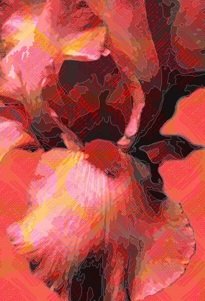 Tableau sur toile Orange Iris